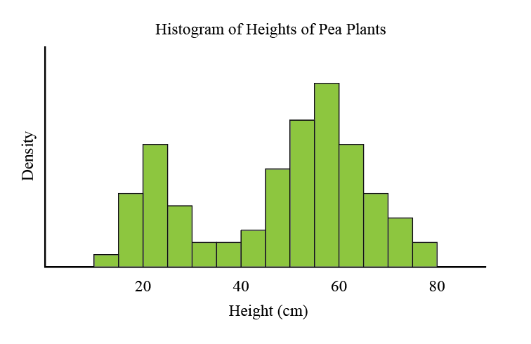 Histogram of Pea Plant heights