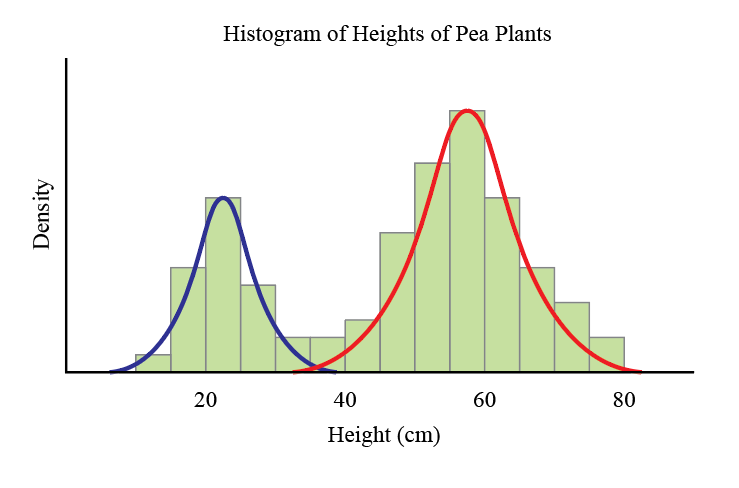 Mixture model of Pea Plant heights